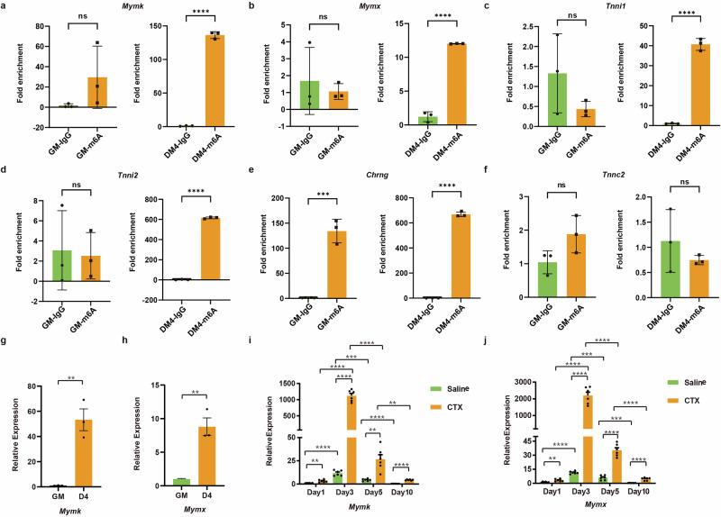 https://cdn.ncbi.nlm.nih.gov/pmc/blobs/54da/12398539/4a4830d07ad2/42003_2025_8759_Fig8_HTML.jpg