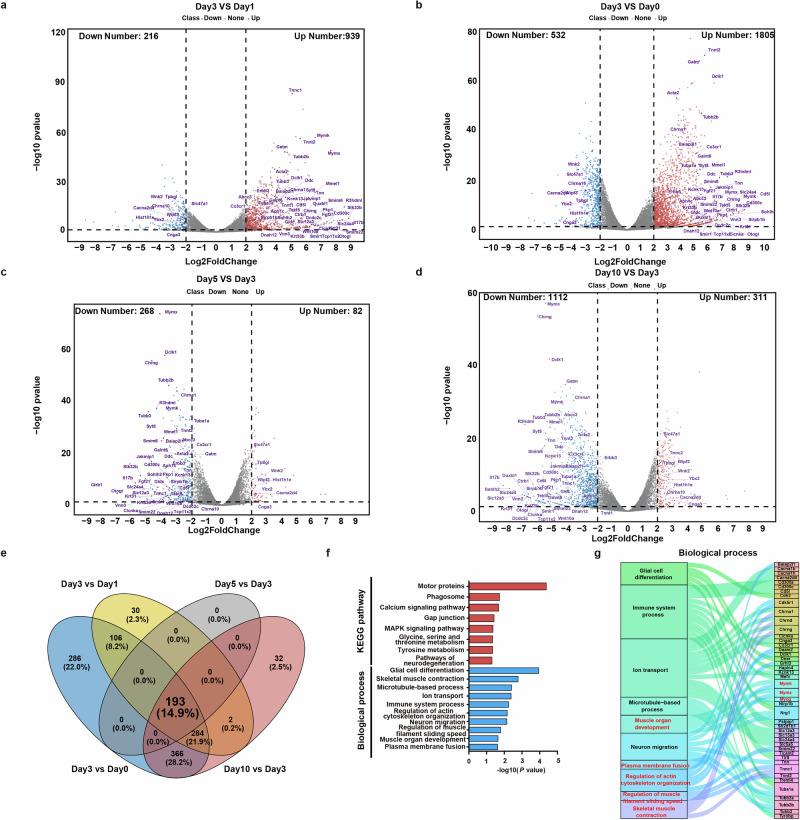https://cdn.ncbi.nlm.nih.gov/pmc/blobs/54da/12398539/a0a9604ba4c8/42003_2025_8759_Fig2_HTML.jpg