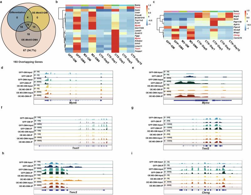 https://cdn.ncbi.nlm.nih.gov/pmc/blobs/54da/12398539/e56ad19df702/42003_2025_8759_Fig7_HTML.jpg