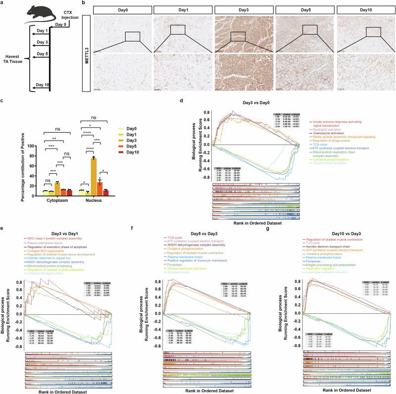 https://cdn.ncbi.nlm.nih.gov/pmc/blobs/54da/12398539/f0af7d349cd6/42003_2025_8759_Fig1_HTML.jpg