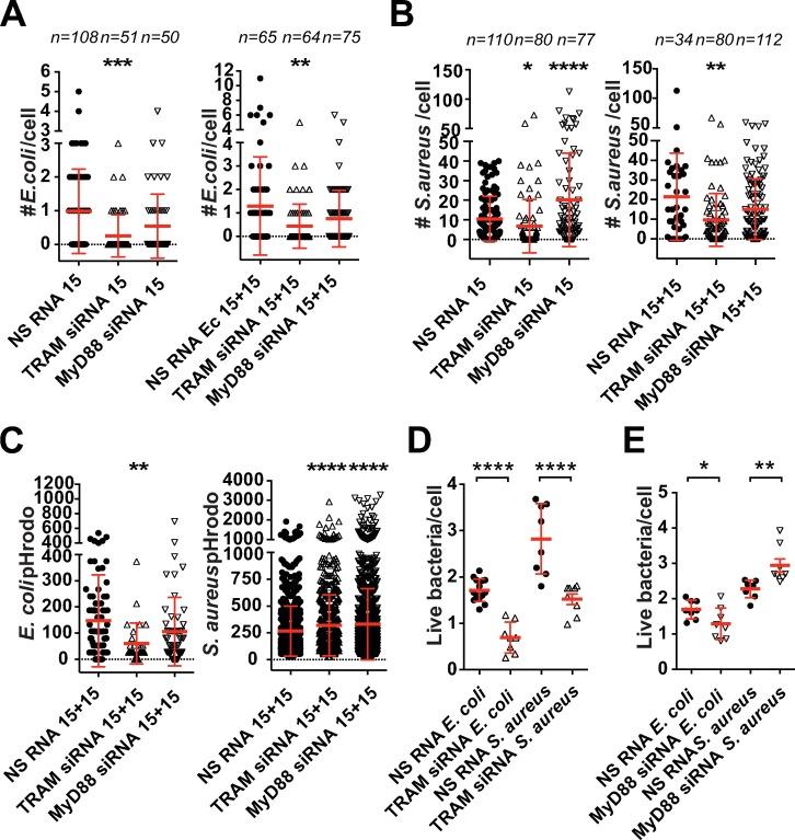 https://cdn.ncbi.nlm.nih.gov/pmc/blobs/54da/6438586/c2c919ac0813/ppat.1007684.g003.jpg