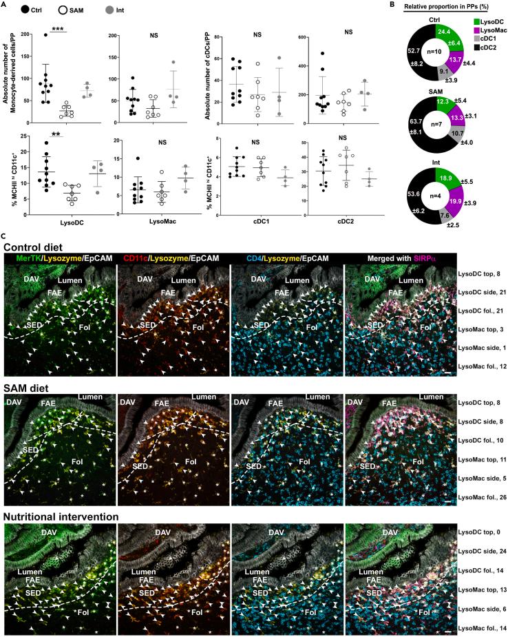 https://cdn.ncbi.nlm.nih.gov/pmc/blobs/54db/10291336/2b629a718ba5/gr7.jpg