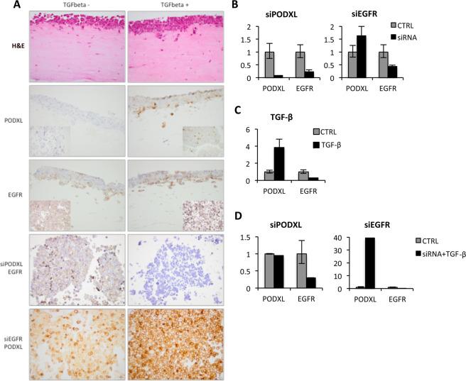 https://cdn.ncbi.nlm.nih.gov/pmc/blobs/54db/7316735/35dff99d2a3d/41598_2020_67187_Fig4_HTML.jpg