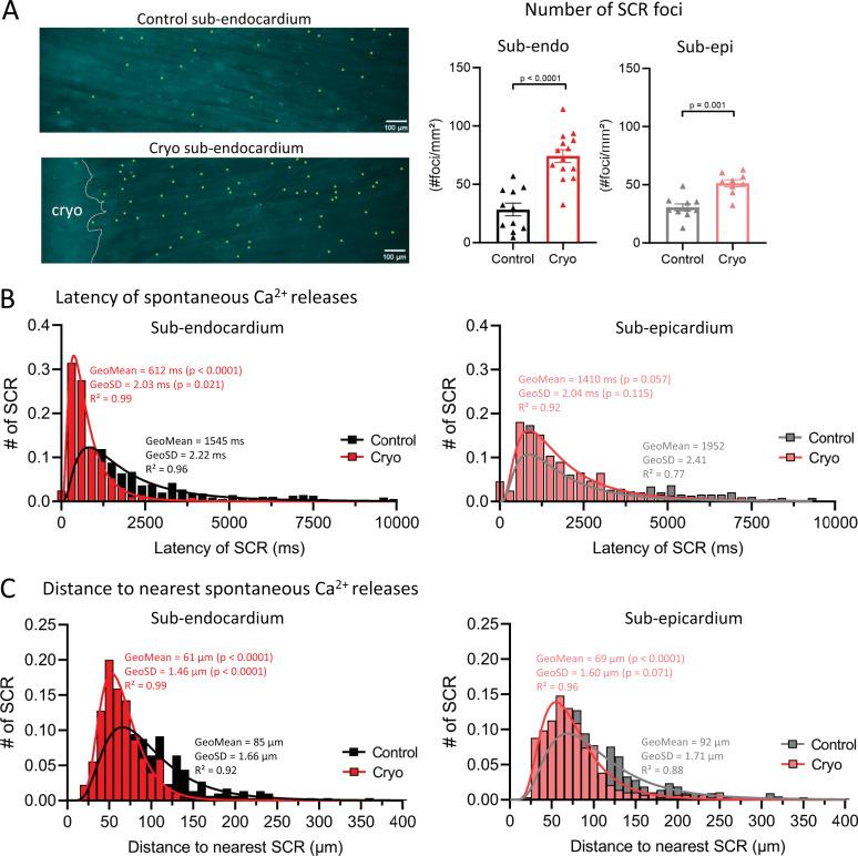 https://cdn.ncbi.nlm.nih.gov/pmc/blobs/54db/8105719/5c2627f9df04/JGP_202012737_Fig3.jpg