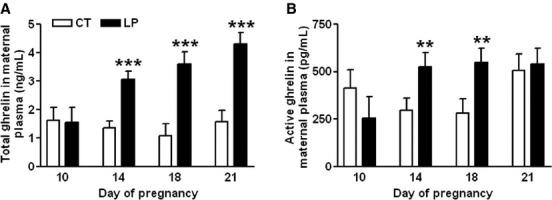 https://cdn.ncbi.nlm.nih.gov/pmc/blobs/54dd/4425973/486ddfd178d0/phy20003-e12368-f7.jpg