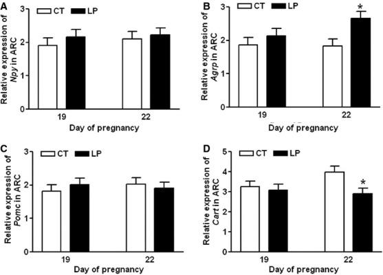 https://cdn.ncbi.nlm.nih.gov/pmc/blobs/54dd/4425973/db32c821fc30/phy20003-e12368-f6.jpg