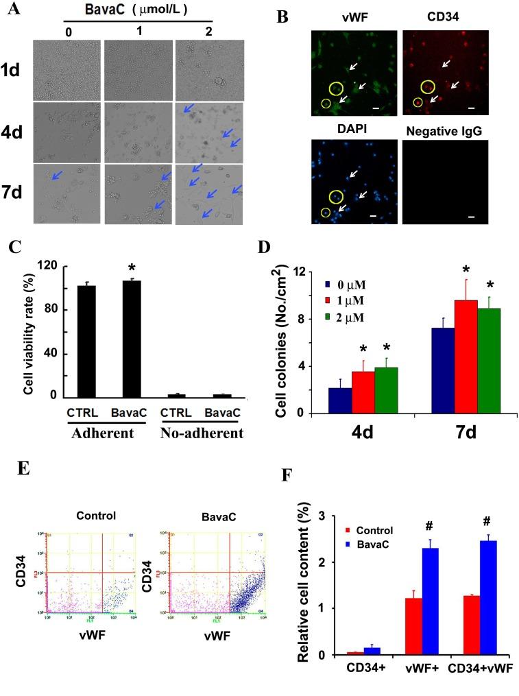 https://cdn.ncbi.nlm.nih.gov/pmc/blobs/54dd/5689677/756bf14dbbb3/oncotarget-08-86188-g001.jpg