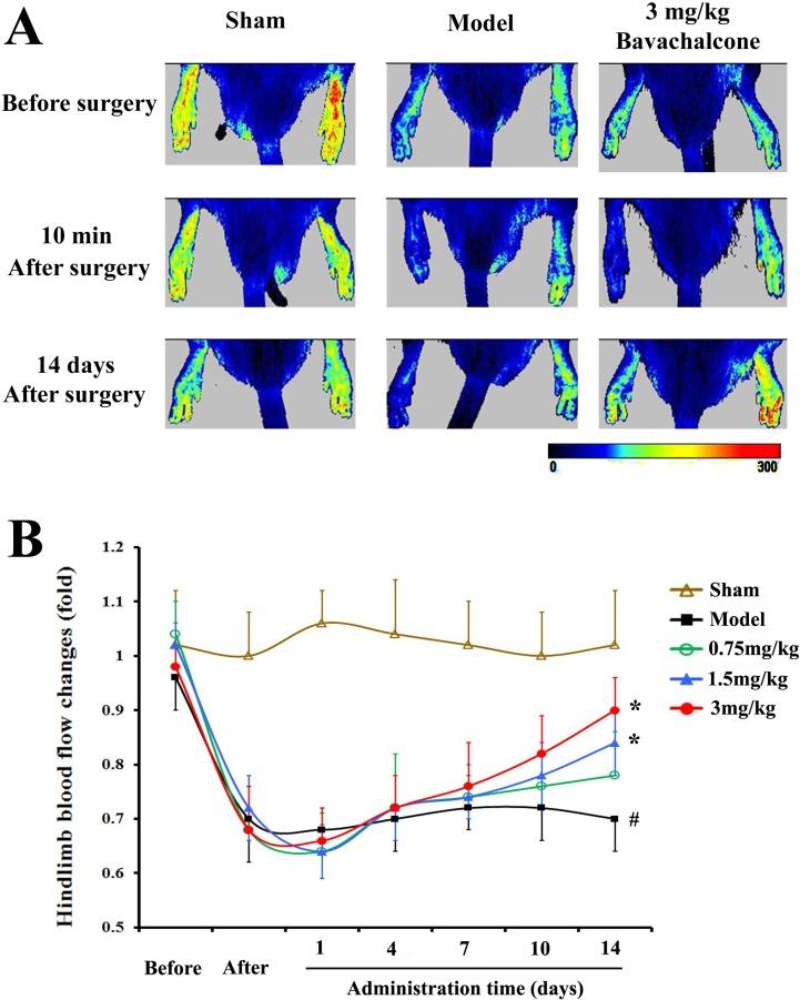 https://cdn.ncbi.nlm.nih.gov/pmc/blobs/54dd/5689677/ab5eb09d0e00/oncotarget-08-86188-g002.jpg