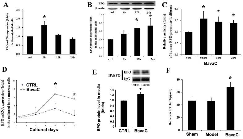 https://cdn.ncbi.nlm.nih.gov/pmc/blobs/54dd/5689677/c7b1aa9a51ba/oncotarget-08-86188-g006.jpg