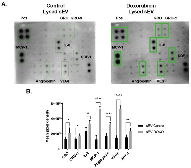 https://cdn.ncbi.nlm.nih.gov/pmc/blobs/54df/11816698/a62418f139a0/ijms-26-00945-g003.jpg