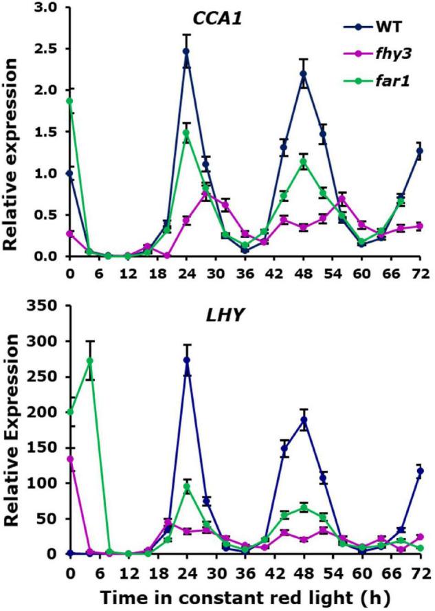 https://cdn.ncbi.nlm.nih.gov/pmc/blobs/54e1/9218818/5d115fdc4072/fpls-13-862387-g008.jpg