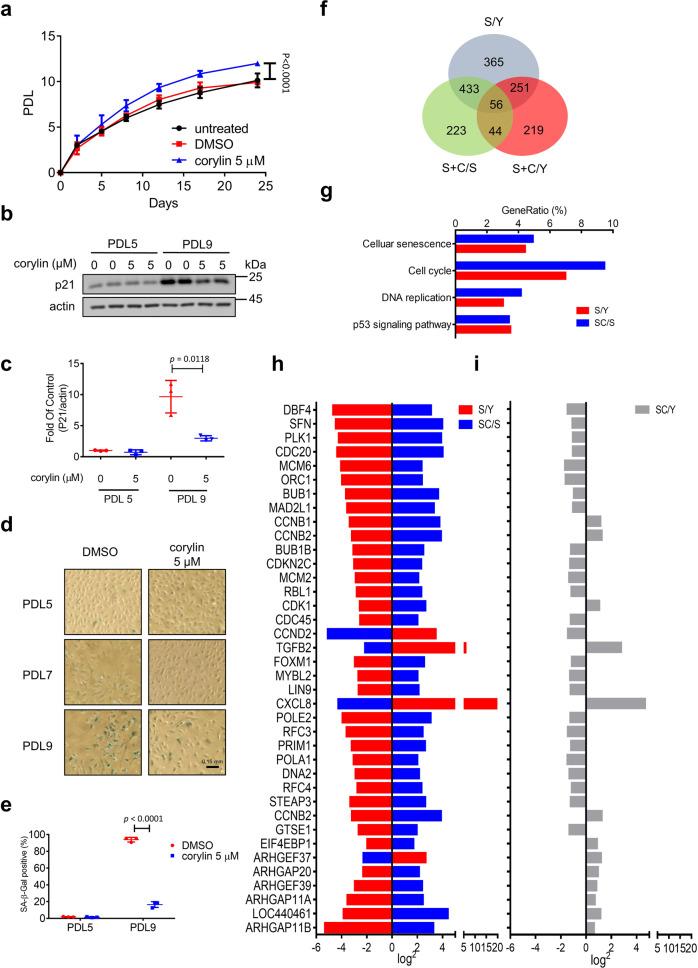 https://cdn.ncbi.nlm.nih.gov/pmc/blobs/54e2/8907184/43cc0ce35c5f/41467_2022_28908_Fig6_HTML.jpg