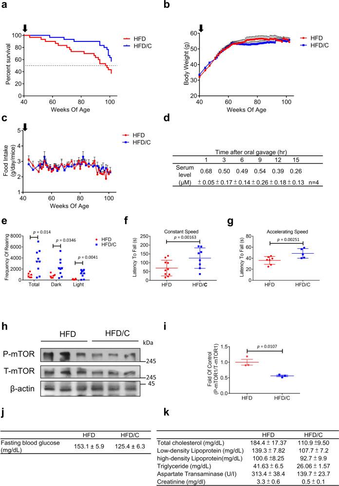 https://cdn.ncbi.nlm.nih.gov/pmc/blobs/54e2/8907184/ad43a0e73457/41467_2022_28908_Fig7_HTML.jpg