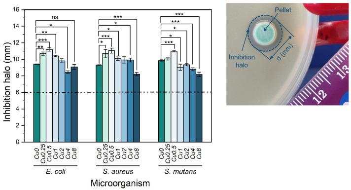 https://cdn.ncbi.nlm.nih.gov/pmc/blobs/54e3/10381177/cdc5daedb662/jfb-14-00369-g008.jpg