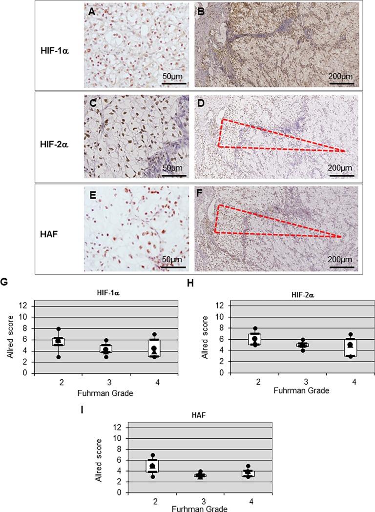 https://cdn.ncbi.nlm.nih.gov/pmc/blobs/54e3/5826688/3d8fcc09b5d9/pone.0193477.g001.jpg
