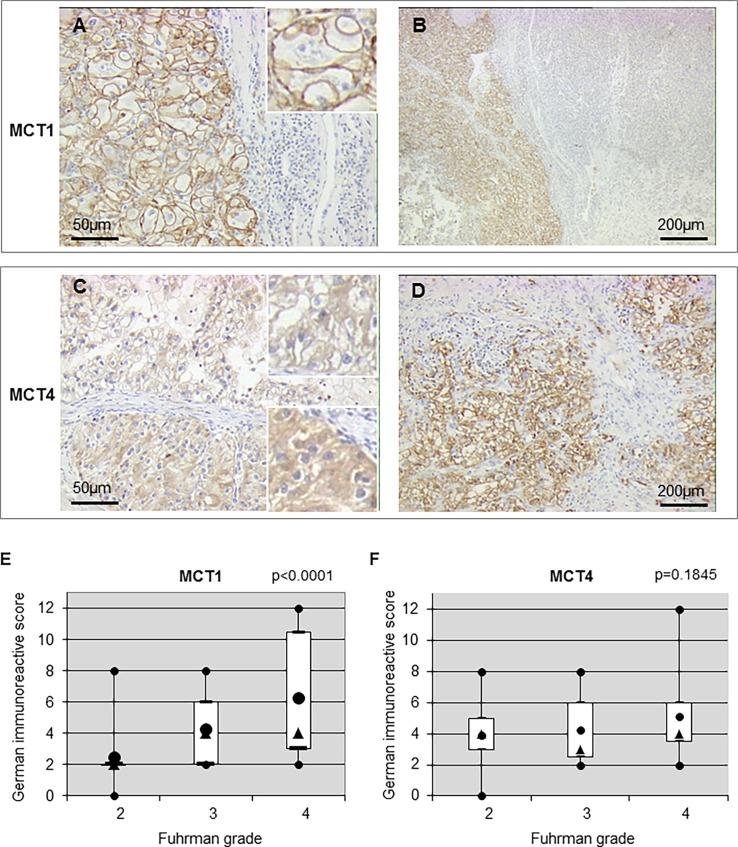 https://cdn.ncbi.nlm.nih.gov/pmc/blobs/54e3/5826688/b73c808da9a1/pone.0193477.g003.jpg
