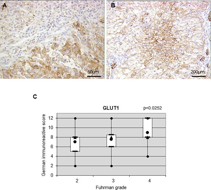 https://cdn.ncbi.nlm.nih.gov/pmc/blobs/54e3/5826688/c233a08bf60c/pone.0193477.g002.jpg
