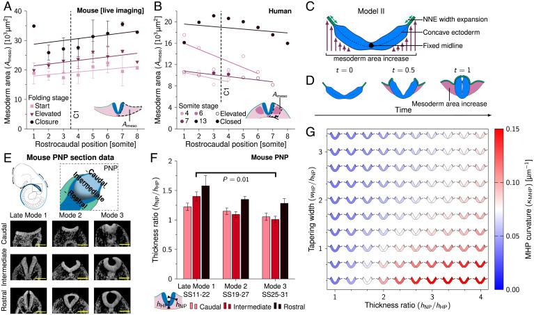 https://cdn.ncbi.nlm.nih.gov/pmc/blobs/54e3/9172135/a23814076369/pnas.2117075119fig04.jpg