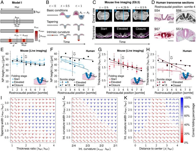 https://cdn.ncbi.nlm.nih.gov/pmc/blobs/54e3/9172135/ee0b9b08e549/pnas.2117075119fig02.jpg