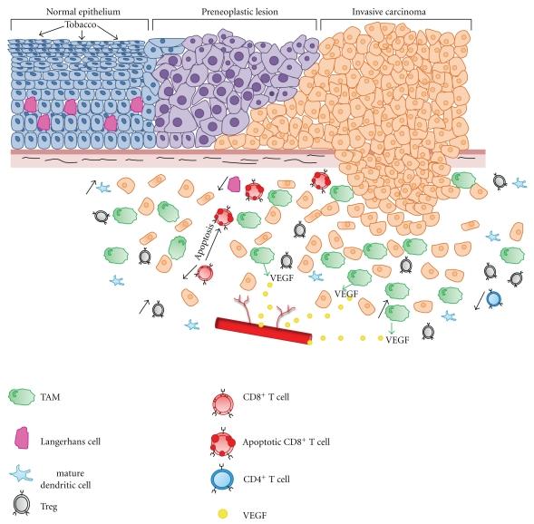 https://cdn.ncbi.nlm.nih.gov/pmc/blobs/54e4/3061296/d92691feef08/CDI2010-701657.002.jpg