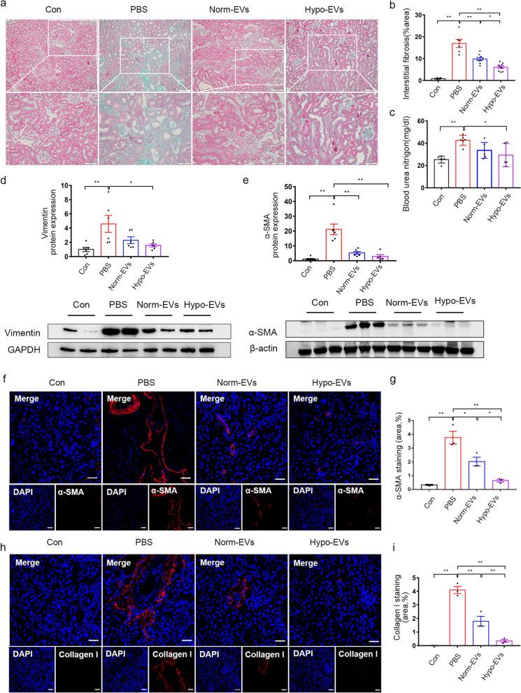 https://cdn.ncbi.nlm.nih.gov/pmc/blobs/54e4/9080148/5e13860d17b8/13287_2022_2861_Fig3_HTML.jpg