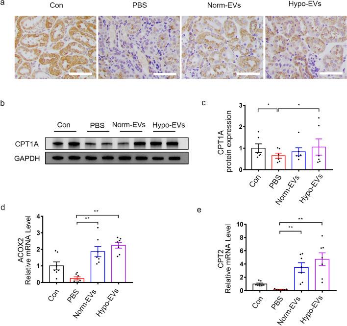 https://cdn.ncbi.nlm.nih.gov/pmc/blobs/54e4/9080148/e3896b4f3567/13287_2022_2861_Fig4_HTML.jpg