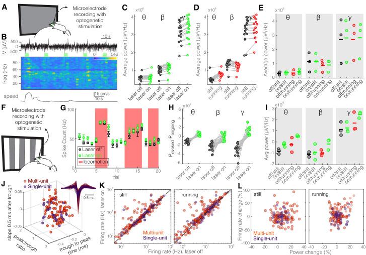 https://cdn.ncbi.nlm.nih.gov/pmc/blobs/54e6/8064751/6fba2de92a29/elife-61437-fig7-figsupp2.jpg