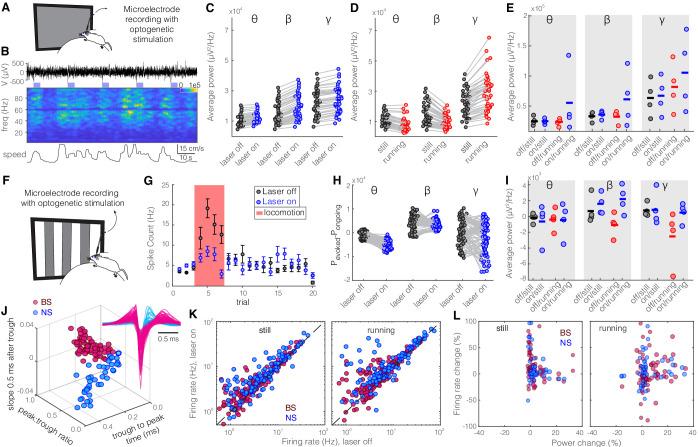 https://cdn.ncbi.nlm.nih.gov/pmc/blobs/54e6/8064751/cc1f6aae036d/elife-61437-fig2-figsupp3.jpg