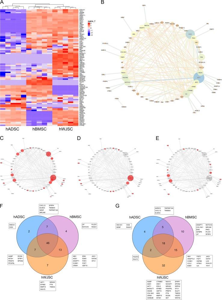 https://cdn.ncbi.nlm.nih.gov/pmc/blobs/54e9/6467904/3da3e4ba8e4d/41536_2019_70_Fig4_HTML.jpg