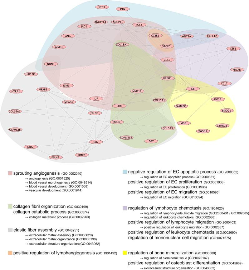 https://cdn.ncbi.nlm.nih.gov/pmc/blobs/54e9/6467904/c85a55cd99d8/41536_2019_70_Fig3_HTML.jpg