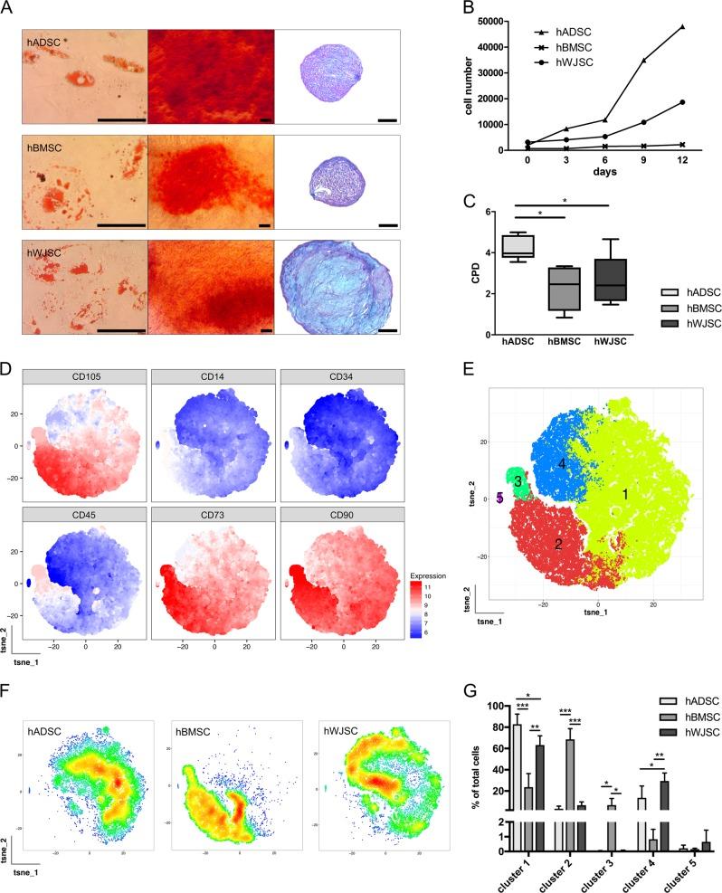 https://cdn.ncbi.nlm.nih.gov/pmc/blobs/54e9/6467904/c9988c34d4b3/41536_2019_70_Fig1_HTML.jpg