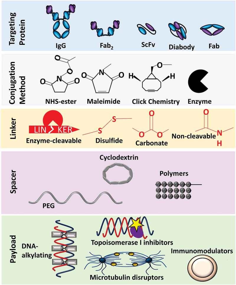 https://cdn.ncbi.nlm.nih.gov/pmc/blobs/54e9/8300931/edee36579255/KMAB_A_1951427_F0005_OC.jpg