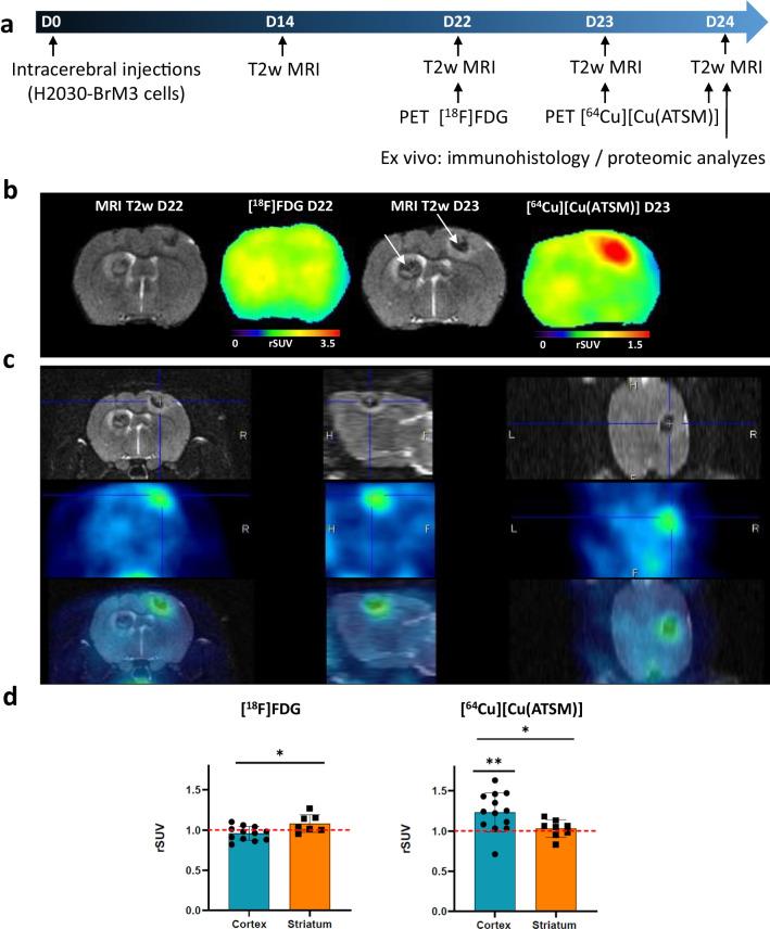 https://cdn.ncbi.nlm.nih.gov/pmc/blobs/54ec/10676347/c93be99fa265/13550_2023_1052_Fig4_HTML.jpg