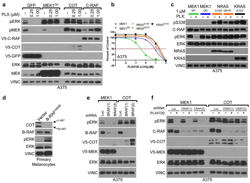 https://cdn.ncbi.nlm.nih.gov/pmc/blobs/54ec/3058384/072f71784130/nihms248195f2.jpg
