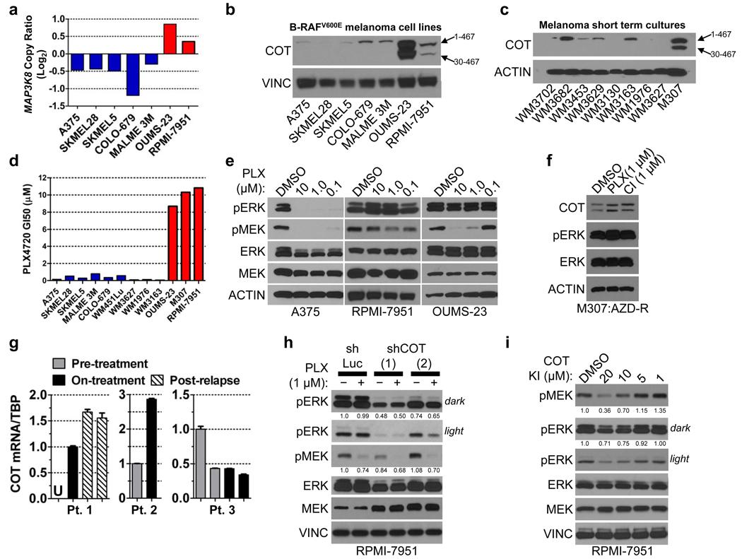 https://cdn.ncbi.nlm.nih.gov/pmc/blobs/54ec/3058384/bc56178b078b/nihms248195f3.jpg