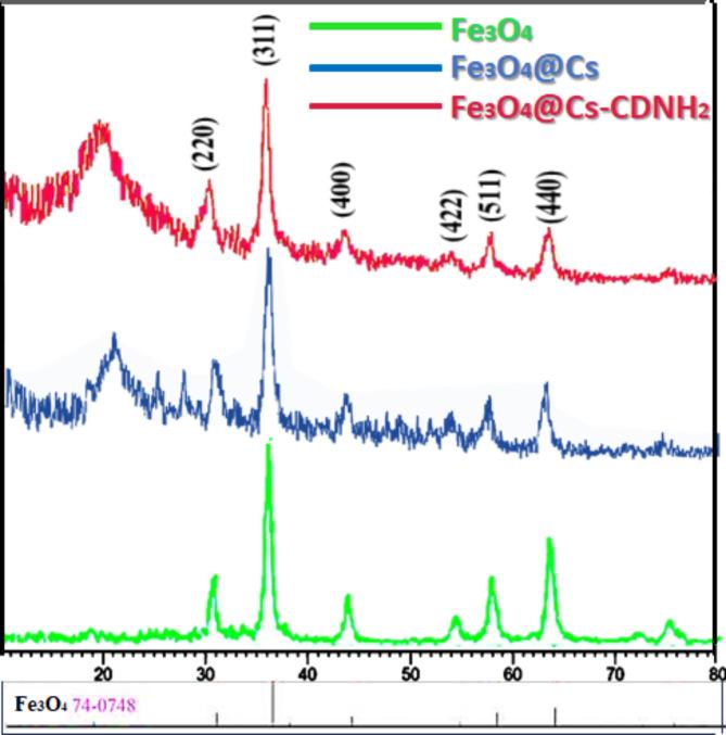 https://cdn.ncbi.nlm.nih.gov/pmc/blobs/54ed/11885426/5180fa82d5c4/41598_2025_92249_Fig3_HTML.jpg