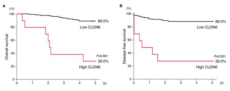 https://cdn.ncbi.nlm.nih.gov/pmc/blobs/54ee/7656298/76f02d57ff42/cancers-12-02748-g003.jpg