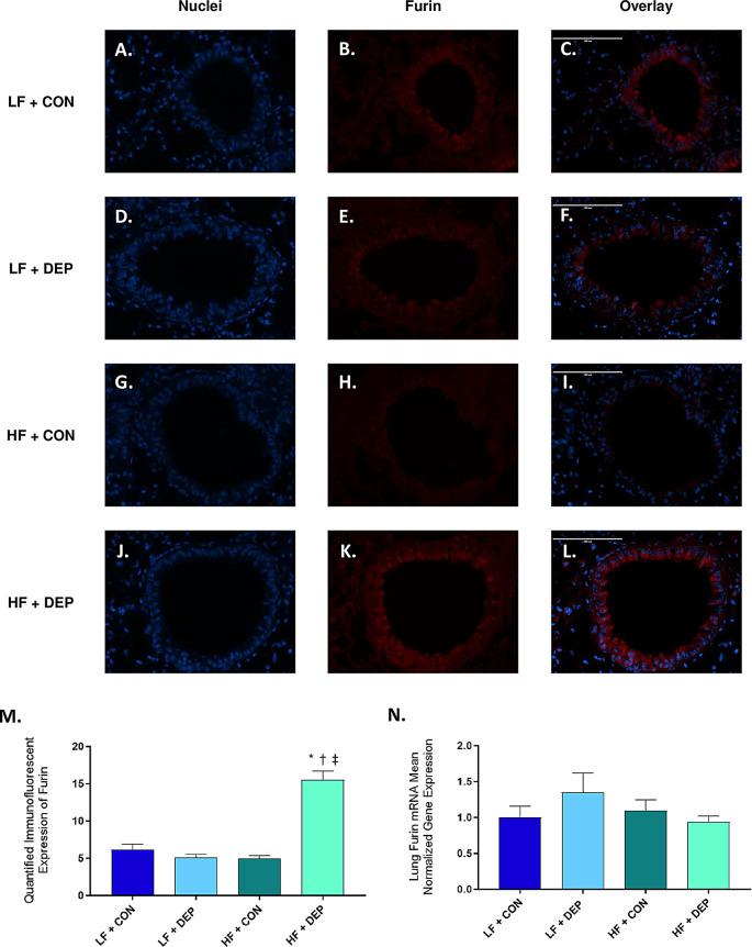 https://cdn.ncbi.nlm.nih.gov/pmc/blobs/54f0/11439268/07037f381e5a/12989_2024_601_Fig10_HTML.jpg