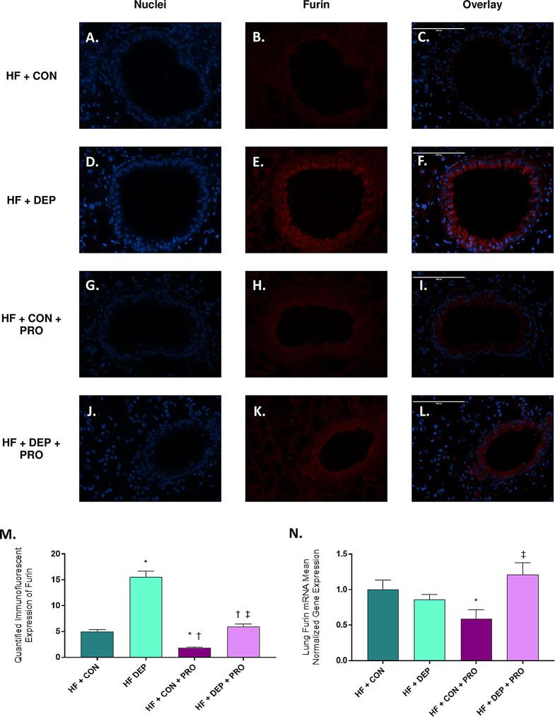 https://cdn.ncbi.nlm.nih.gov/pmc/blobs/54f0/11439268/1d0ebaee7d7c/12989_2024_601_Fig11_HTML.jpg
