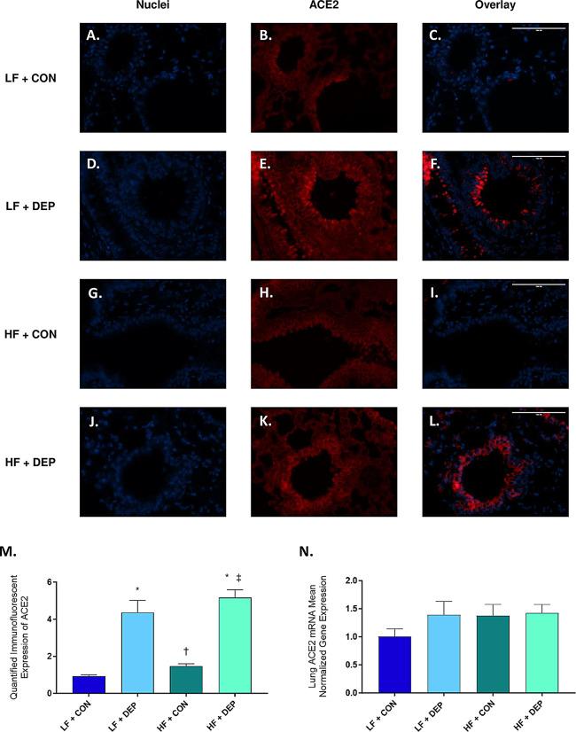 https://cdn.ncbi.nlm.nih.gov/pmc/blobs/54f0/11439268/2b4b20abeb2a/12989_2024_601_Fig2_HTML.jpg