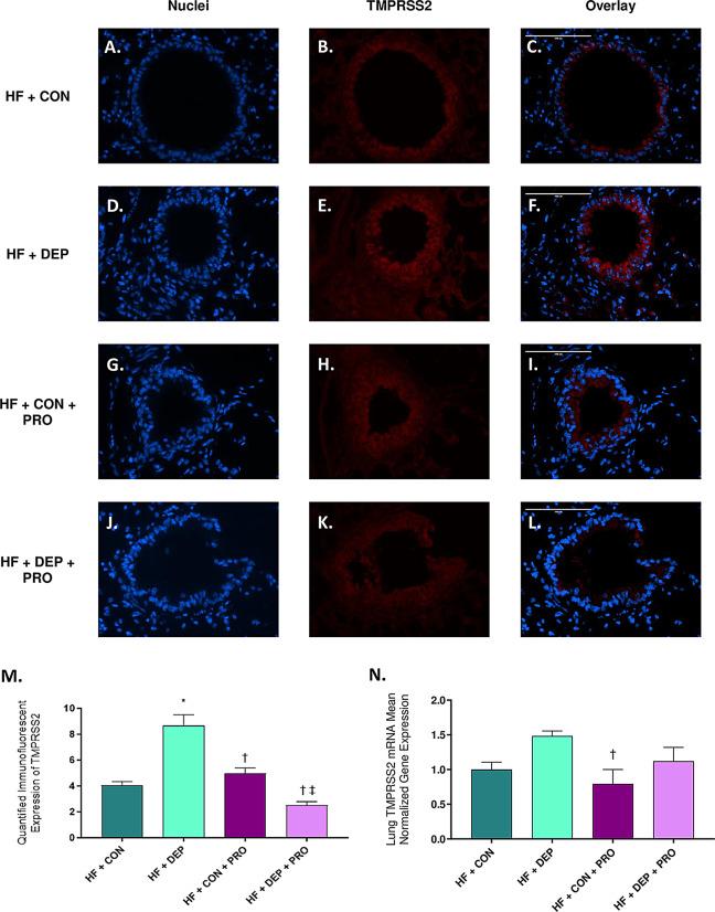 https://cdn.ncbi.nlm.nih.gov/pmc/blobs/54f0/11439268/300f94bcd0d7/12989_2024_601_Fig5_HTML.jpg