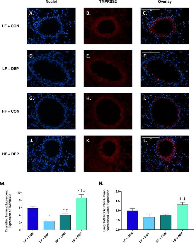 https://cdn.ncbi.nlm.nih.gov/pmc/blobs/54f0/11439268/5bdae22f1ac4/12989_2024_601_Fig4_HTML.jpg