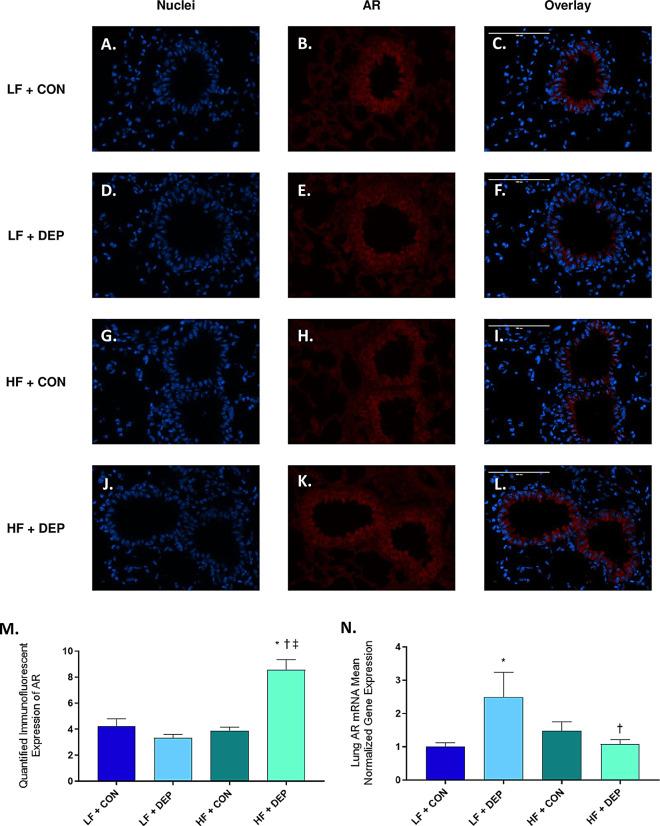 https://cdn.ncbi.nlm.nih.gov/pmc/blobs/54f0/11439268/92f2ece73b4e/12989_2024_601_Fig6_HTML.jpg