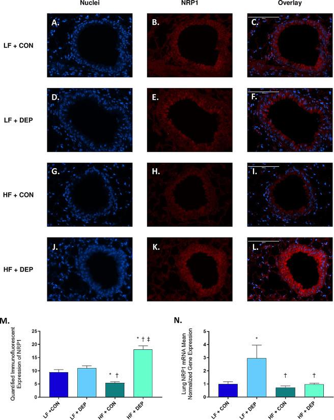 https://cdn.ncbi.nlm.nih.gov/pmc/blobs/54f0/11439268/c2659d867f5c/12989_2024_601_Fig8_HTML.jpg