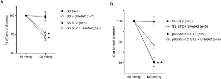 https://cdn.ncbi.nlm.nih.gov/pmc/blobs/54f0/12361120/9003ed9537b8/fphys-16-1620591-g001.jpg