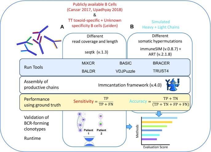 https://cdn.ncbi.nlm.nih.gov/pmc/blobs/54f1/9278041/d1f44a647e75/lqac049fig1.jpg