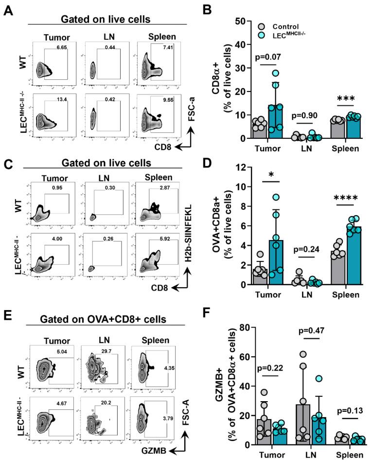 https://cdn.ncbi.nlm.nih.gov/pmc/blobs/54f1/9654328/29ddad25e88b/ijms-23-13470-g005.jpg