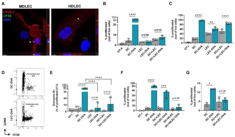 https://cdn.ncbi.nlm.nih.gov/pmc/blobs/54f1/9654328/3ab273e93685/ijms-23-13470-g007.jpg