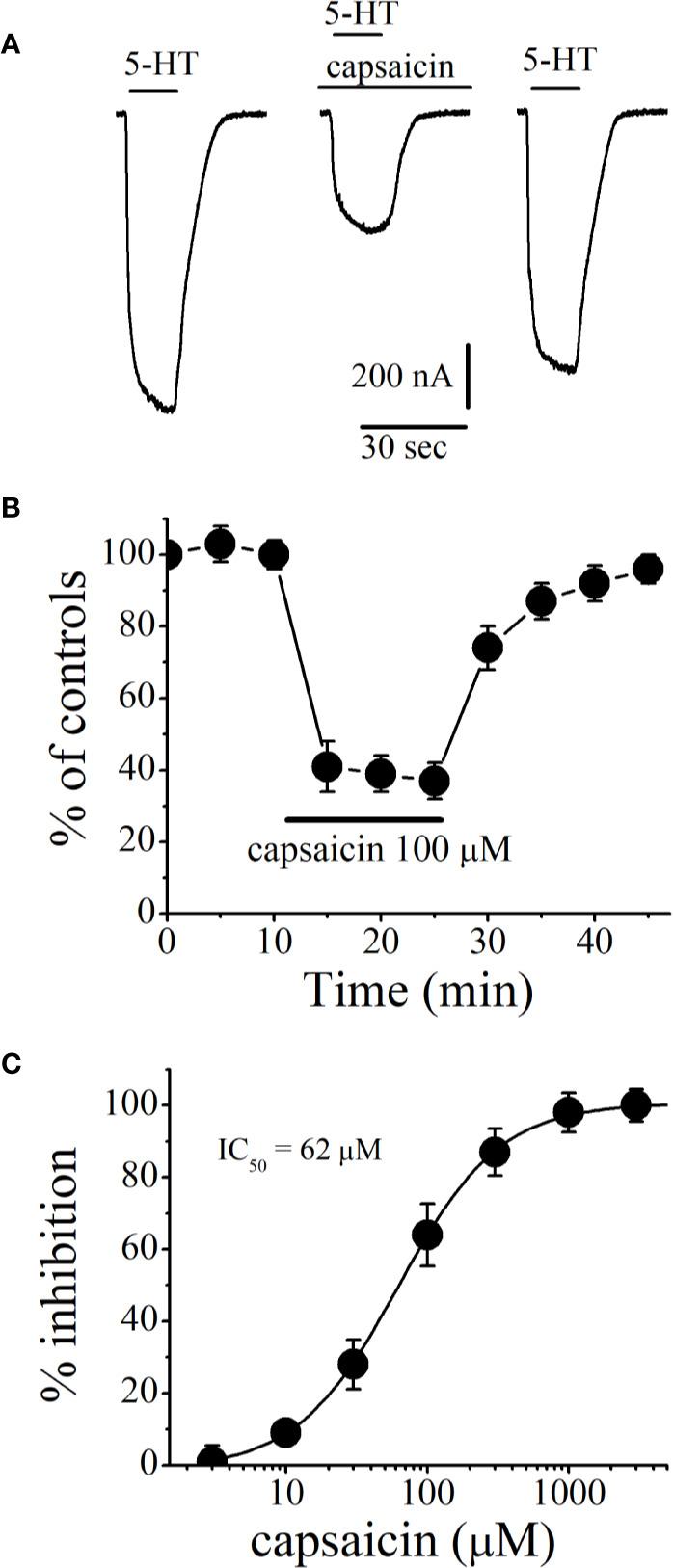https://cdn.ncbi.nlm.nih.gov/pmc/blobs/54f3/7490547/f15719cf78fd/fphar-11-01274-g001.jpg
