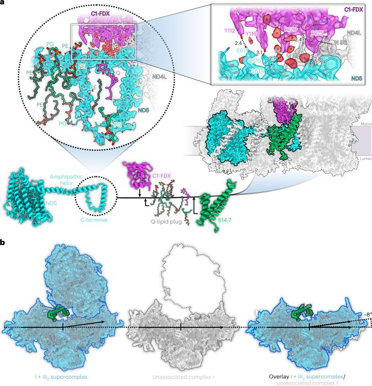 https://cdn.ncbi.nlm.nih.gov/pmc/blobs/54f3/9873573/0e521ab70202/41477_2022_1308_Fig3_HTML.jpg